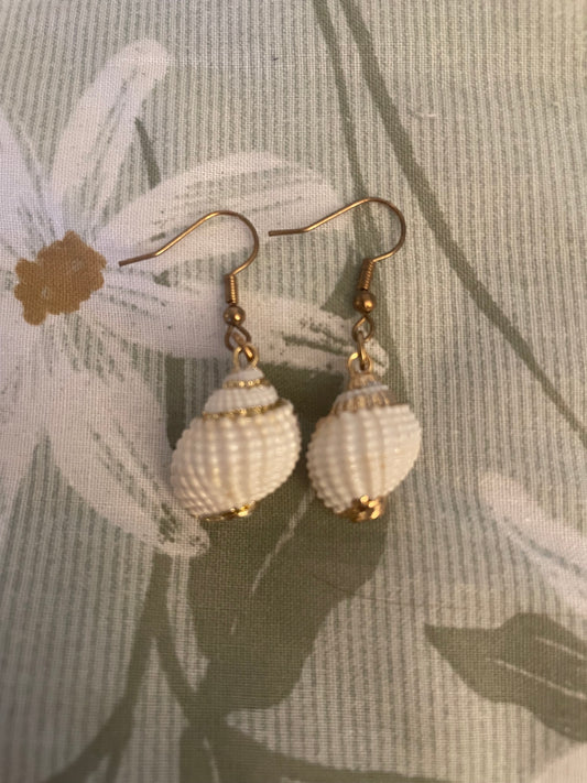 Cowrie Shell Earrings